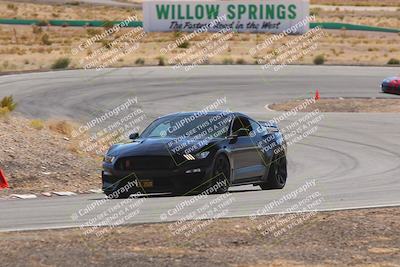 media/Oct-25-2025-West Coast Racing (Sat) [[9fdcbcd09c]]/Green group/Turn 3/